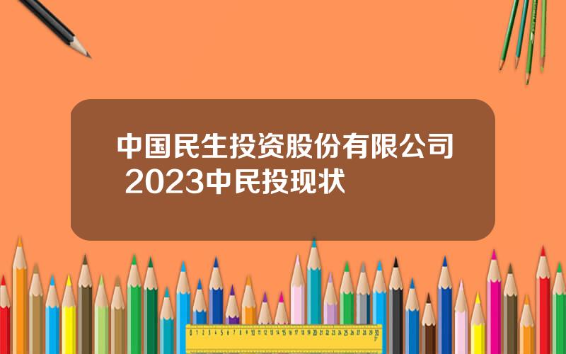 中国民生投资股份有限公司 2023中民投现状